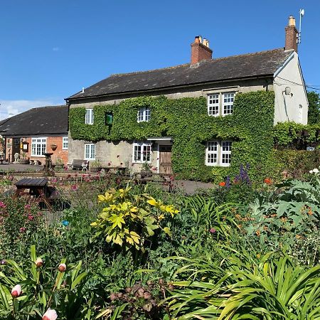 The Coppleridge Inn Motcombe Esterno foto